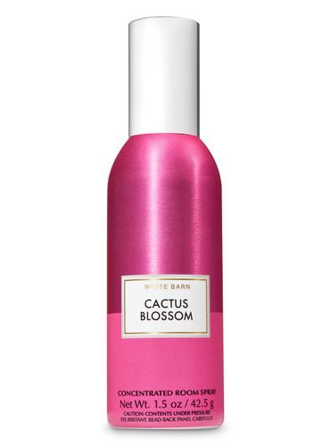 Spray-Concentrado-para-Cuarto-Cactus-Blossom